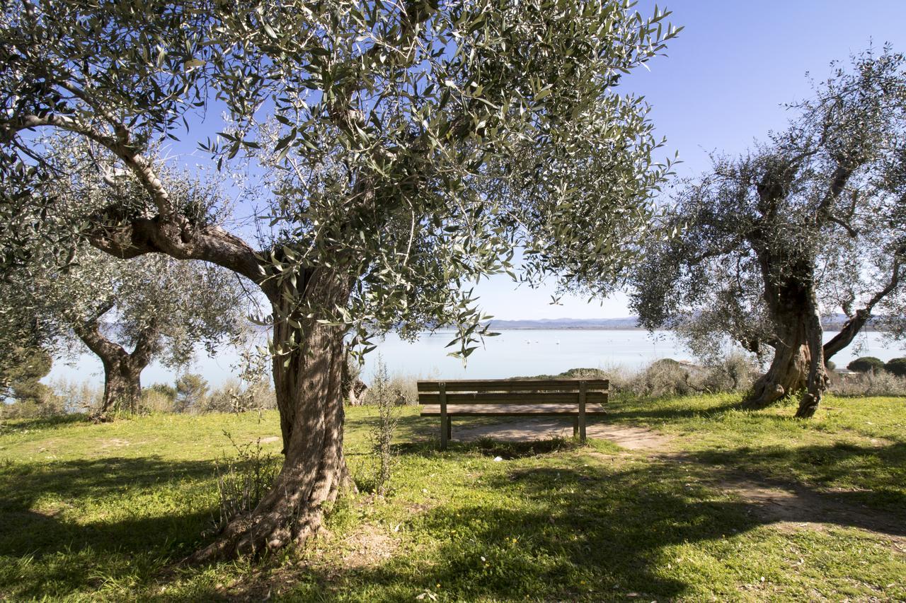 Baldovino Di Monte Bed & Breakfast มอนเต ซาน ซาวิโน ภายนอก รูปภาพ